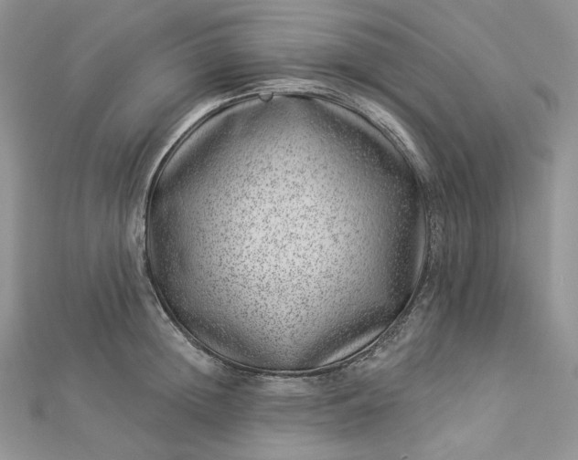 X0000112890852200909041700