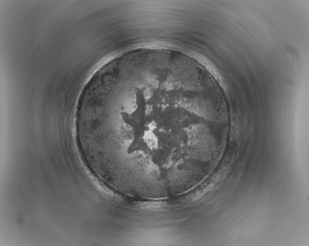 X0000112890853200909041700