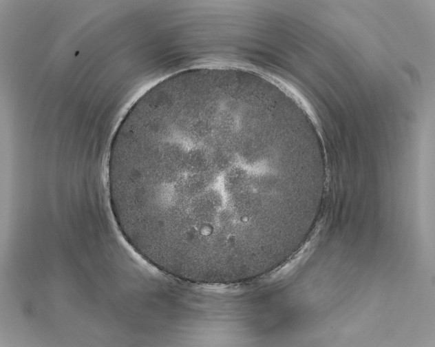 X0000112890855200909041700