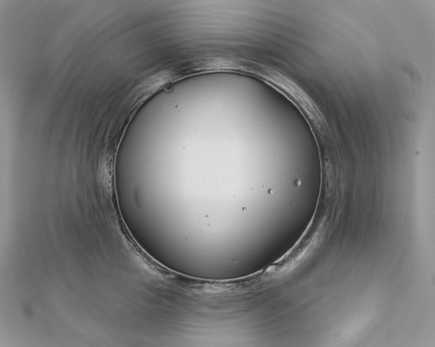 X0000112890857200909041700