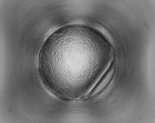 X0000112890858200909041700