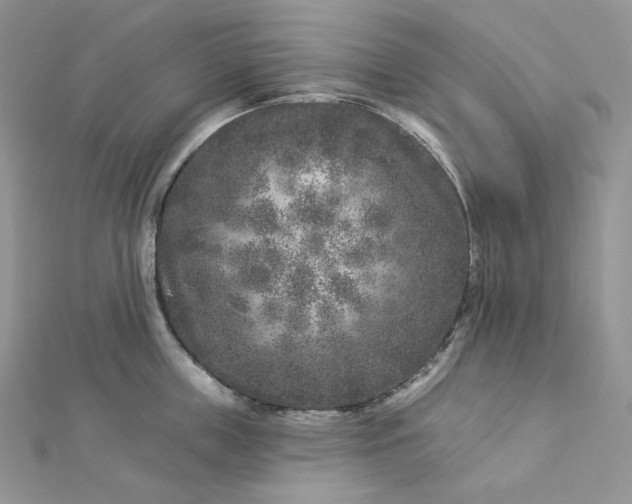 X0000112890859200909041700