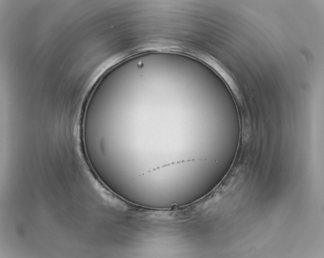 X0000112890861200909041700