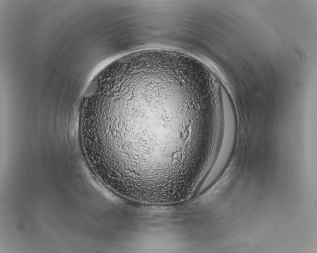 X0000112890862200909041700