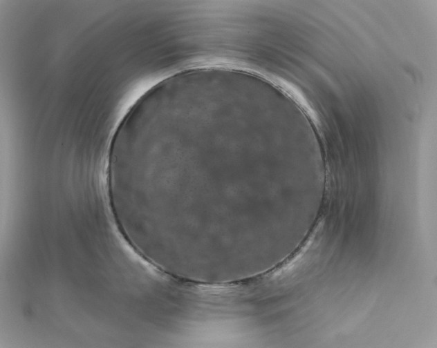 X0000112890863200909041700
