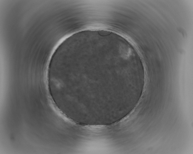 X0000112890864200909041700