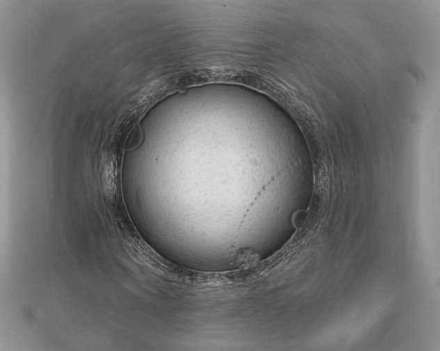 X0000112890866200909041700
