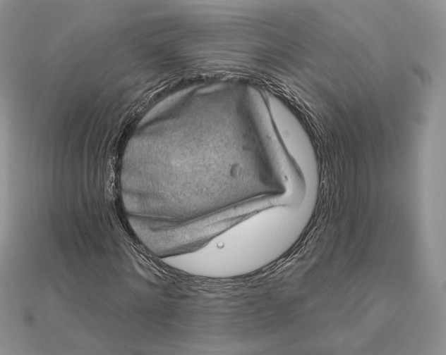 X0000112890868200909041700