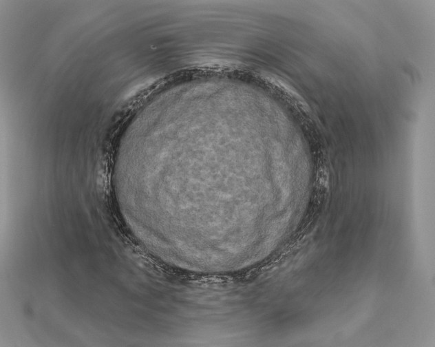 X0000112890869200909041700