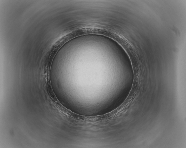 X0000112890870200909041700