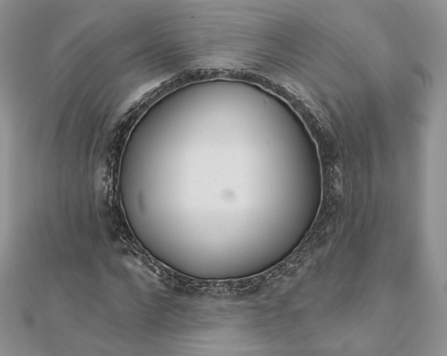 X0000112890872200909041700