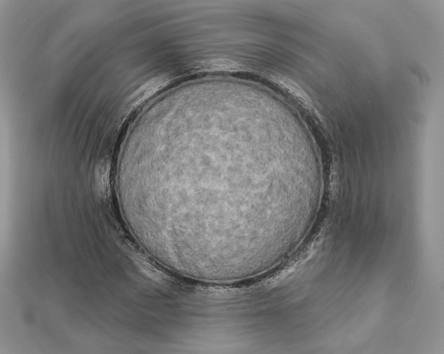 X0000112890873200909041700