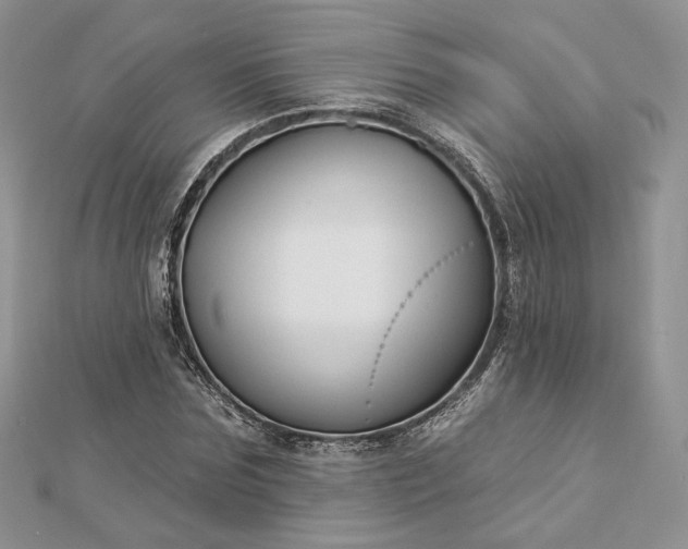 X0000112890875200909041659
