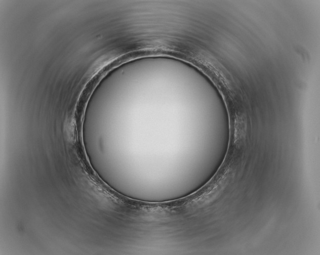 X0000112890876200909041659