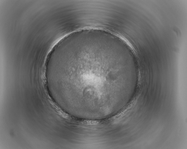 X0000112890878200909041659