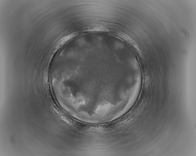 X0000112890882200909041659