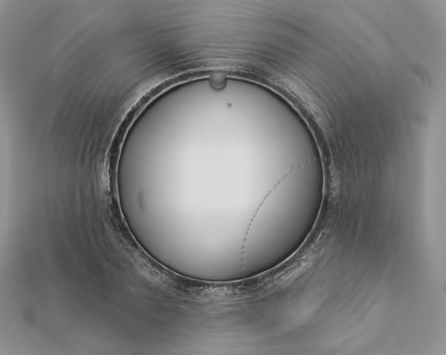 X0000112890883200909041659