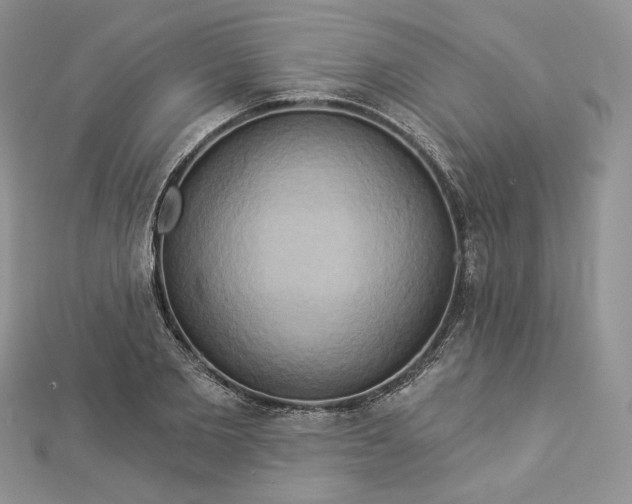 X0000112890885200909041659
