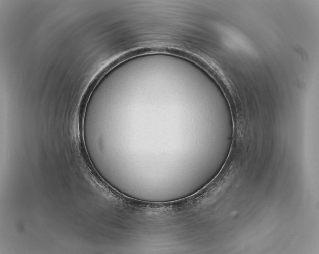 X0000112890887200909041659