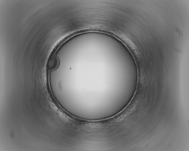 X0000112890888200909041659