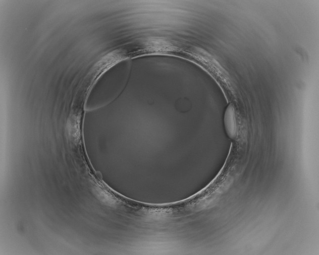 X0000112890889200909041659