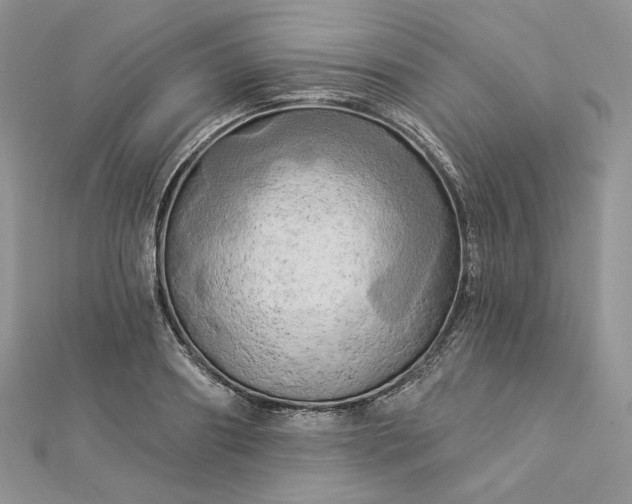 X0000112890890200909041659