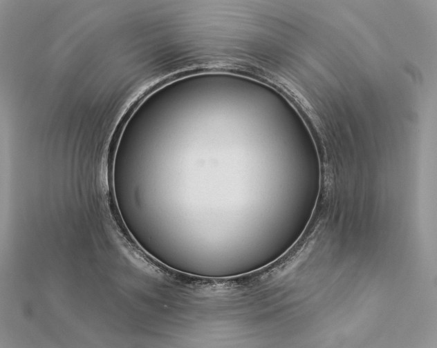 X0000112890891200909041659