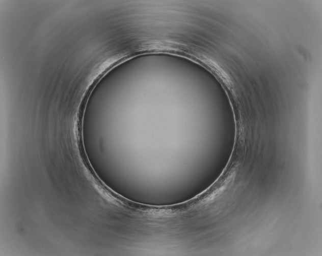 X0000112890893200909041659