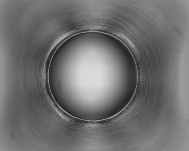 X0000112890894200909041659