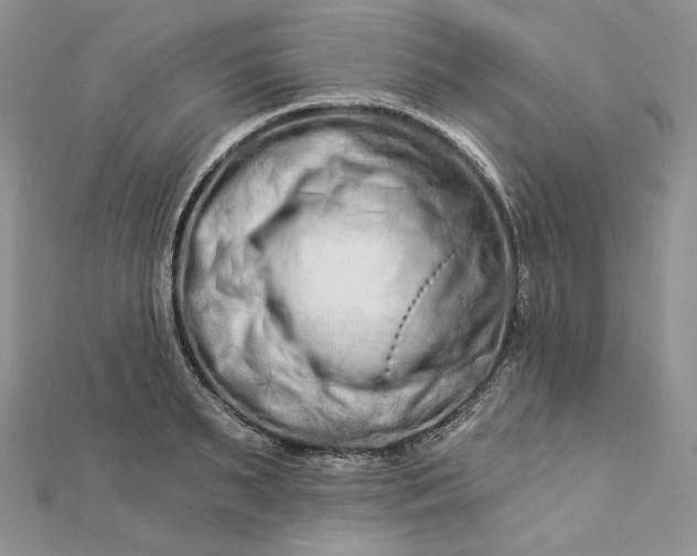 X0000112890895200909041659