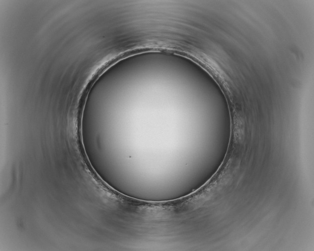 X0000112890896200909041659