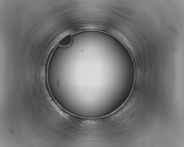 X0000112890898200909041659