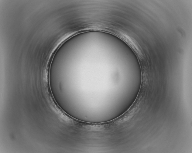 X0000112890900200909041659