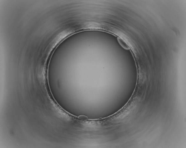 X0000112890901200909041659