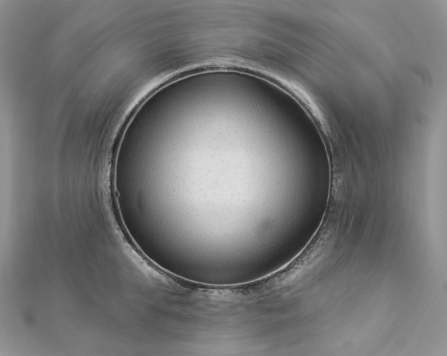 X0000112890903200909041659