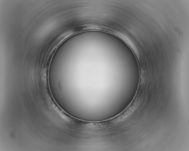 X0000112890906200909041659