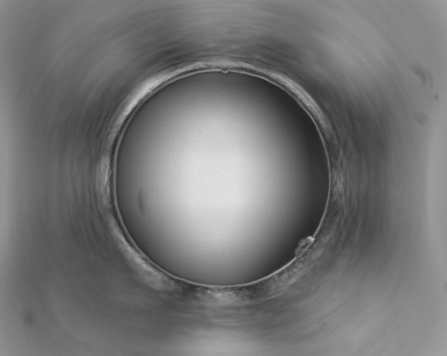 X0000112890911200909041659