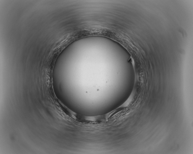 X0000112890916200909041658