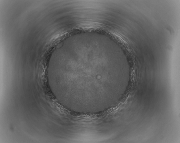 X0000112890917200909041658