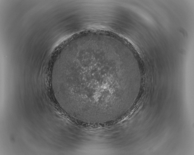 X0000112890919200909041658
