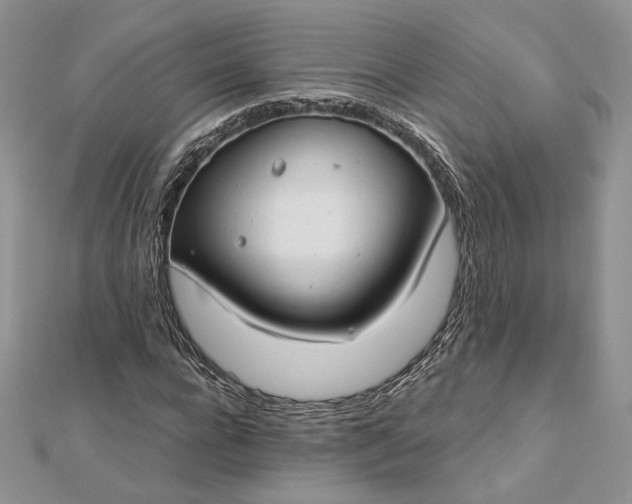 X0000112890920200909041658