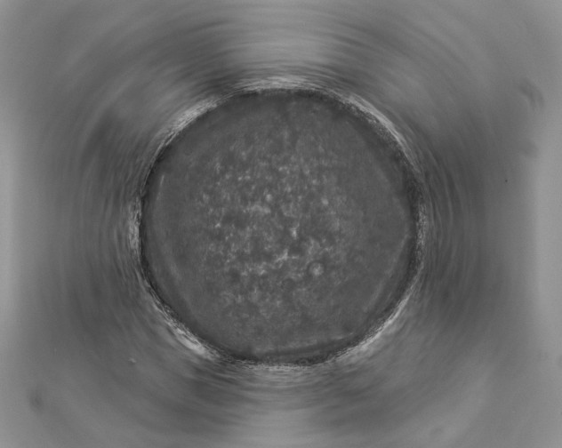 X0000112890921200909041659
