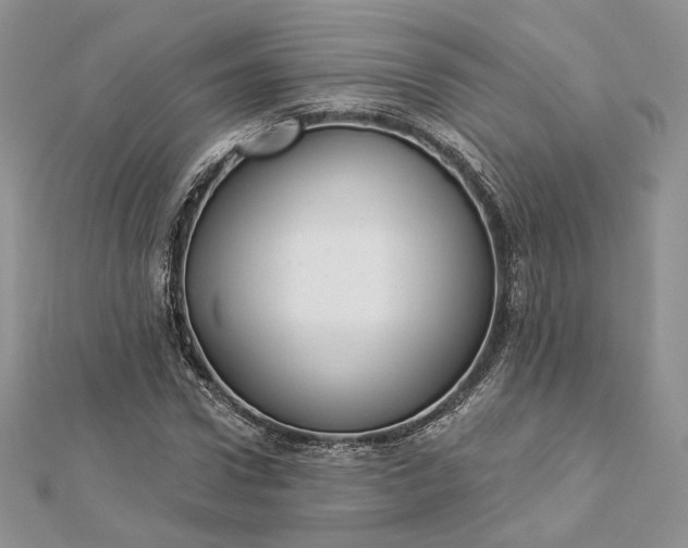 X0000112890922200909041659