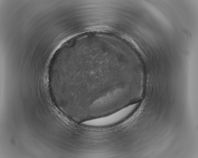 X0000112890923200909041659