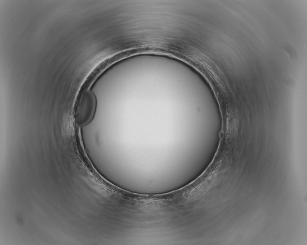 X0000112890924200909041659