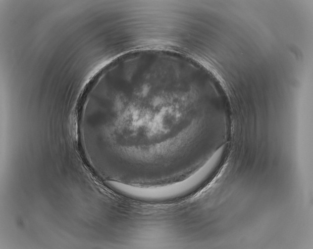 X0000112890925200909041659