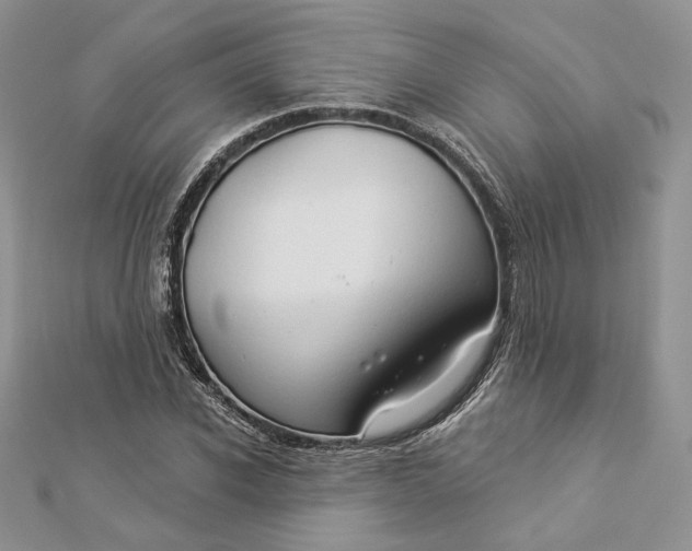 X0000112890926200909041659
