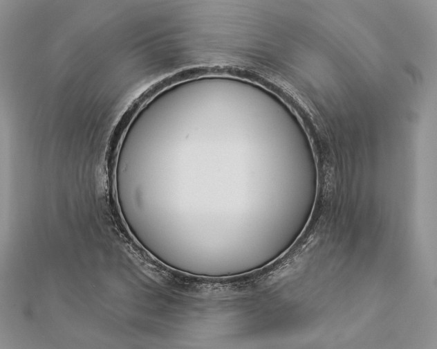 X0000112890927200909041659