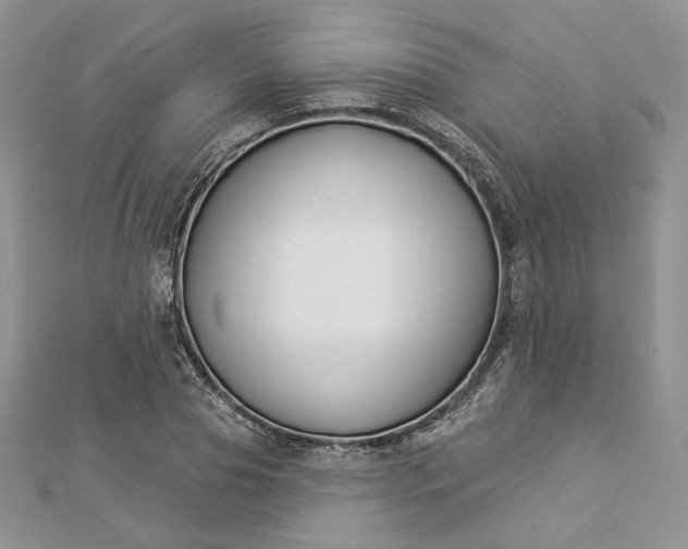 X0000112890929200909041659