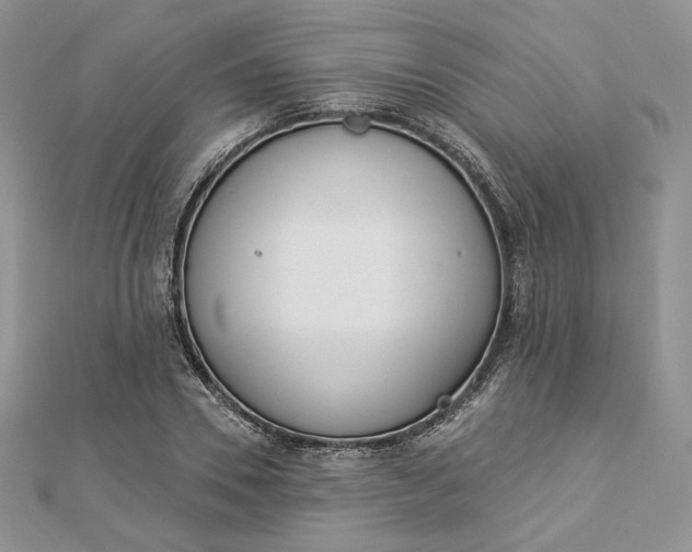 X0000112890930200909041659